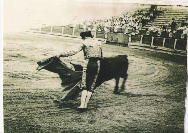 Tauromaquia amanoletada de Antonio Moreno en su época de novillero ante una vaca toreada.