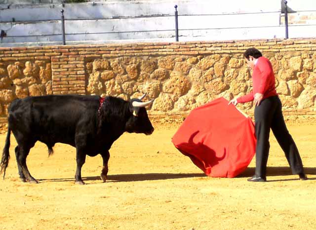 Salvador estuvo muy firme durante toda la lidia.