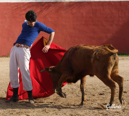 De pronto se observa que en la mente del torero...