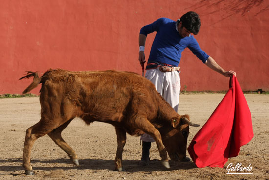 En su toreo fundamental no es perceptible ese salto evolutivo.