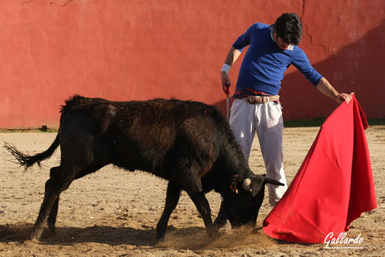 Que casa perfectamente con la ortodoxia de su toreo.