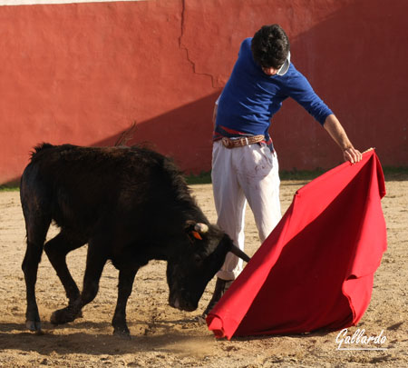 De mano zurda de seda y látigo de franela.