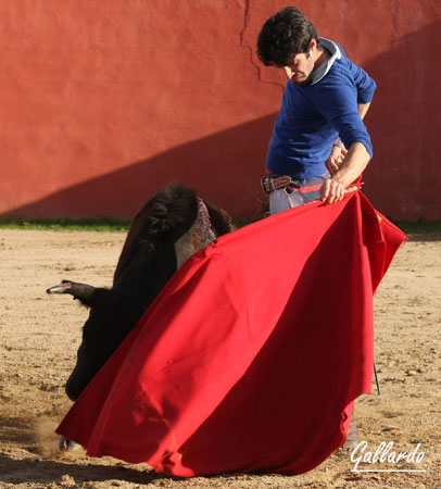 Capaz de imantar a la reses por la izquierda...