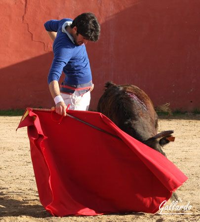 ...o la derecha, con idéntico final: 'una leve caricia torera'