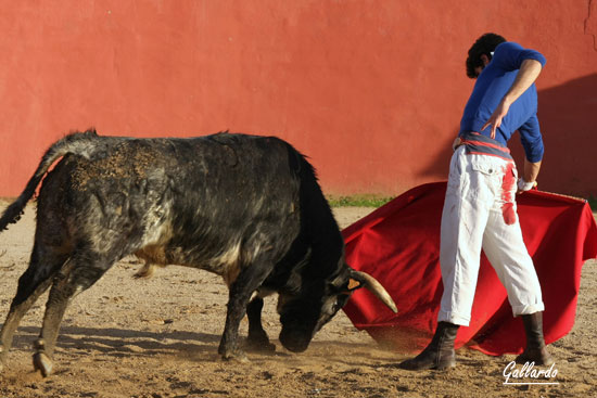 ...Válida tanto para la hembra como para el macho.