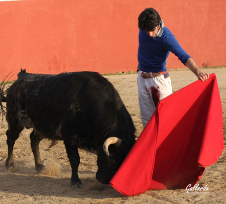 Esa tauromaquia tan suya y propia que le hace ser diferente...