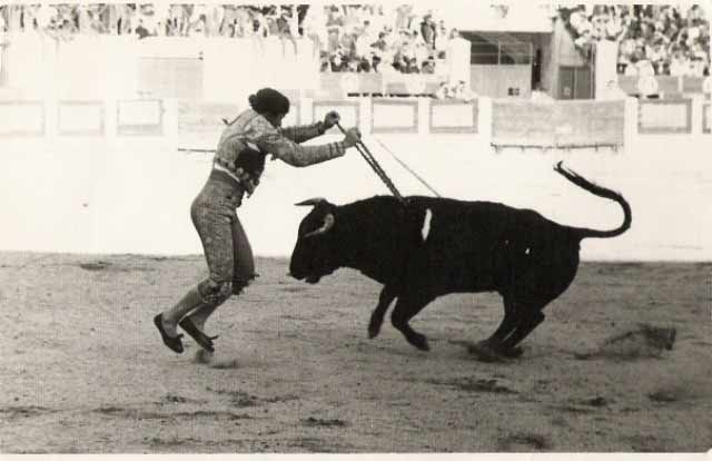 Sube el volumen. Poniendo banderillas a un novillo en Mérida.