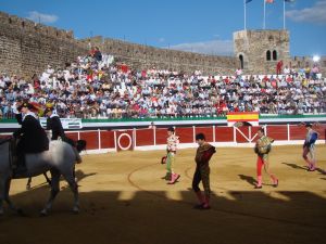 Plaza de Toros de Fregenal de la Sierra. (Foto: ElPuyazo.es)