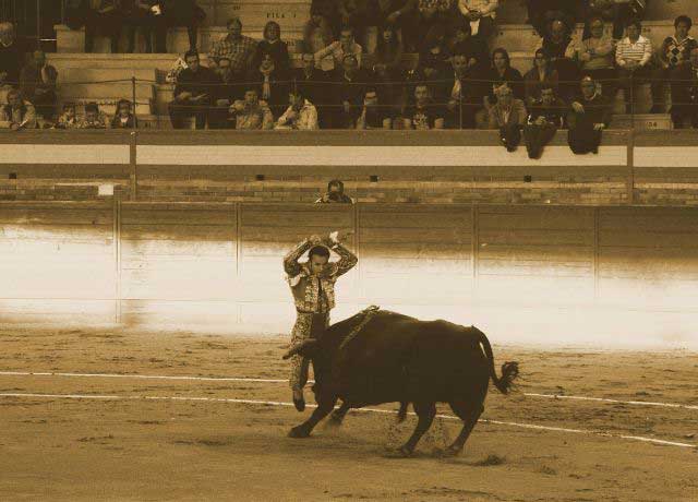 Asomándose al balcón justo antes de clavar en lo alto.