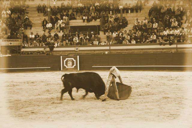 Continúa la faena por el derecho.