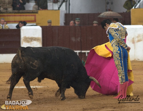 Gaoneras de Perera en la boca de riego.