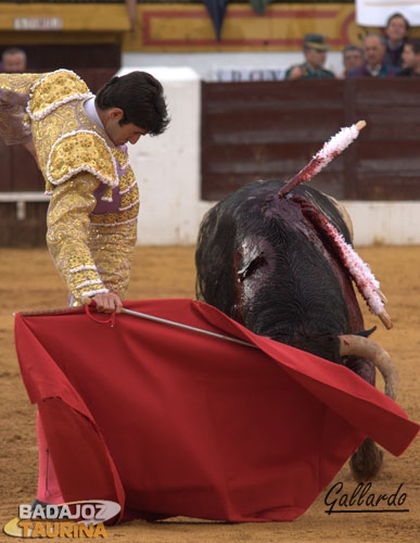 Derechazo mandón de Talavante a su primero.