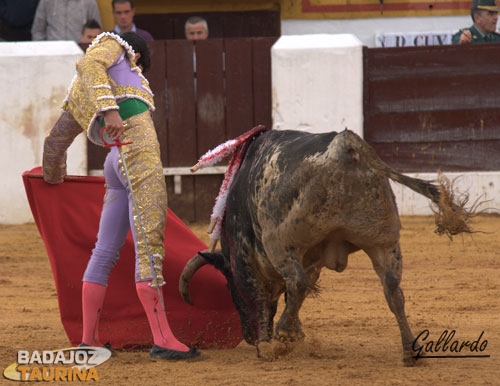 El natural, marca de calidad, en la tauromaquia de Alejandro.