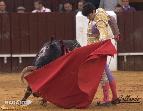 Alejandro Talavante muleteando con la zurda.