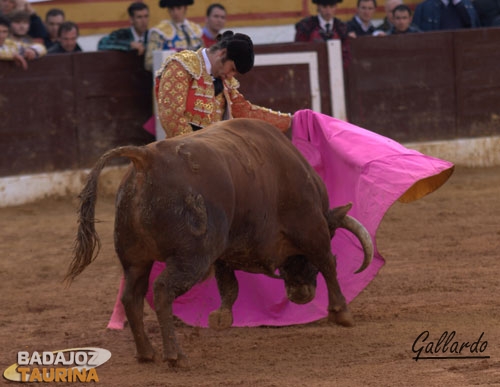 Morante meciendo el capote a la verónica.