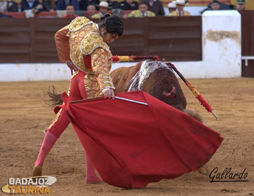 Morante enterrando la barbilla en el pecho.