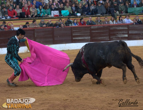 Juan Sierra bregando al sobrero que hizo quinto bis.