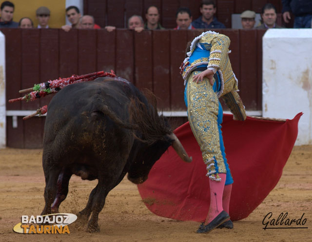 Supo entender al toro y llevarlo a la medida que requería.