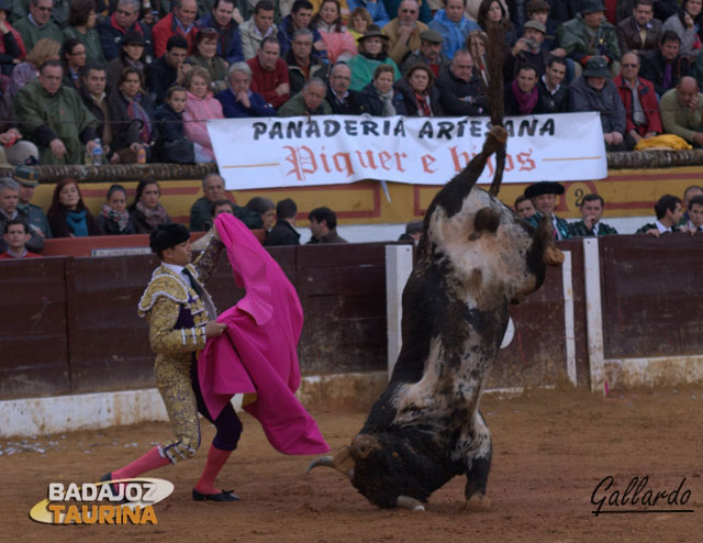 Aparatosa voltereta del primero de Manzanares.