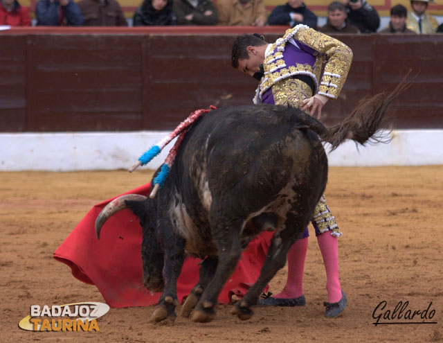 Rompiéndose a la hora de enjaretar los redondos.