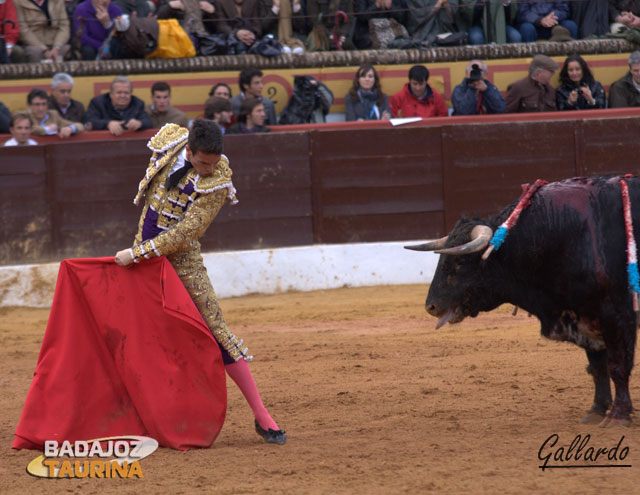 Desplante de Manzanares con el toro que hizo tercero.