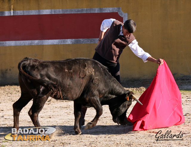 Alejandro Fermín conduciendo la embestida al natural.