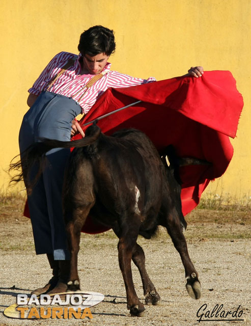 Ajustada bernadina de Emilio Salamanca.