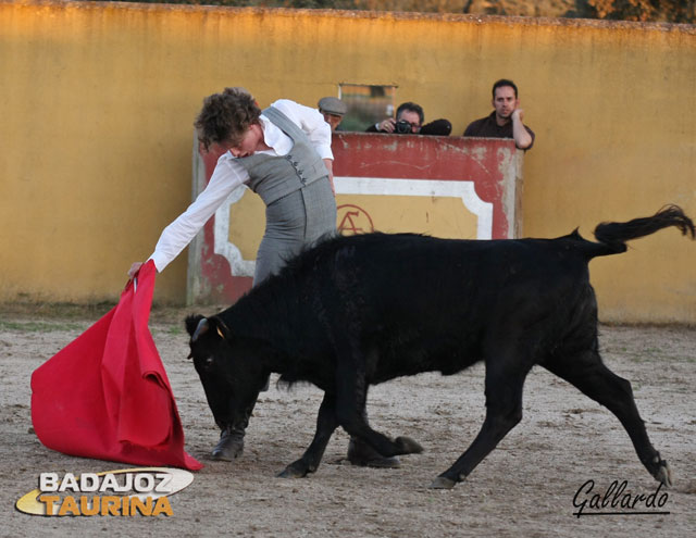 Tomás Angulo estirándose con la diestra ante una sensacional vaca.