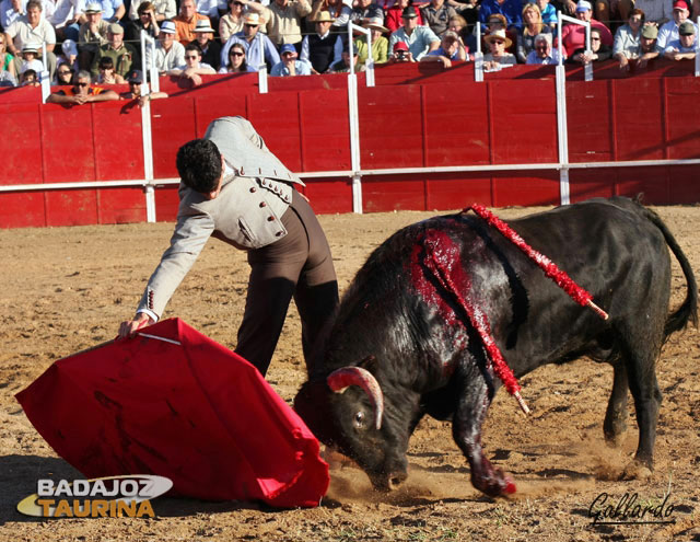 Rompiéndose la cintura en el derechazo.