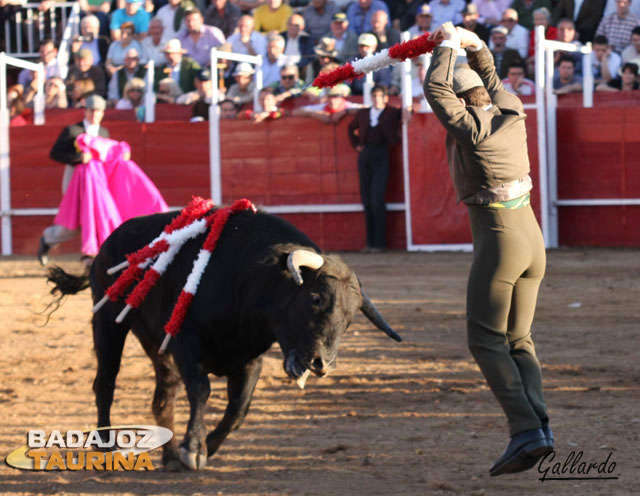 Lolín asomándose al balcón.