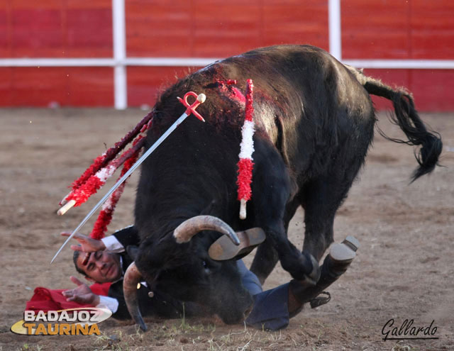 Momento de apuro de El Cartujano entre las astas del novillo.