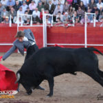 Parejo llevando toreado al Guadajira que cerró la tarde. (FOTO:Gallardo)