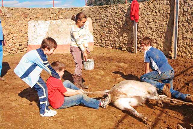 Tradición que es adoptada por los más pequeños.