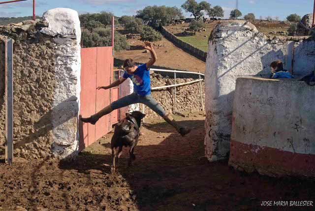 Y es hora de demostrar el valor seco de los hombres de campo.