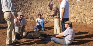 Herrando a mano en la ganadería de Arcadio Albarrán. (FOTO: J.M. Ballester)