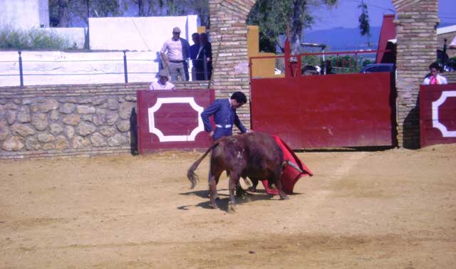 ...y Ambel se gustó por el lado izquierdo.