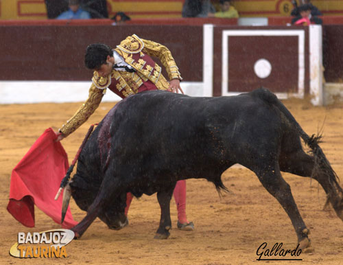 El Fini muleteando a su primero bajo el sirimiri