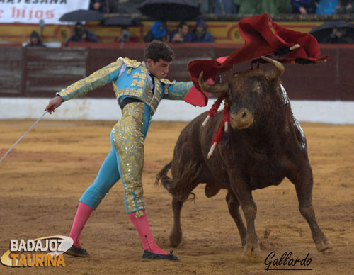 Pase de pecho de Fernando Adrián en el novillo de su debut. (FOTO: Gallardo)