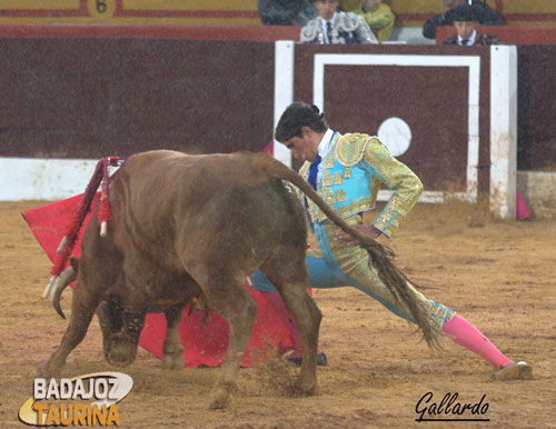 Doblándose de inicio con 'Alpargatero', el novillo de su debut.