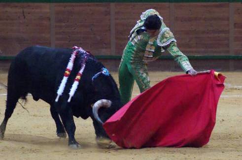 Perera en Arnedo. (FOTO: Comunicatauro/Burladero.com)