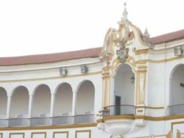 Foto: Roberto Juárez.