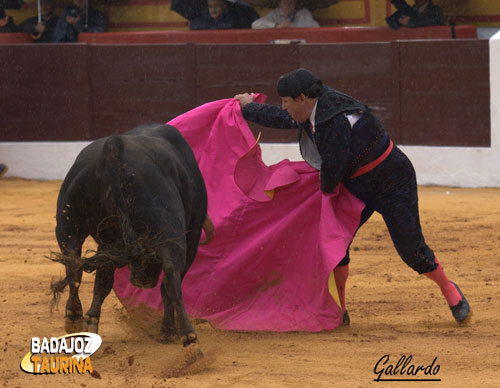 Rafael Guerrero colocando al novillo de Píriz en suerte.