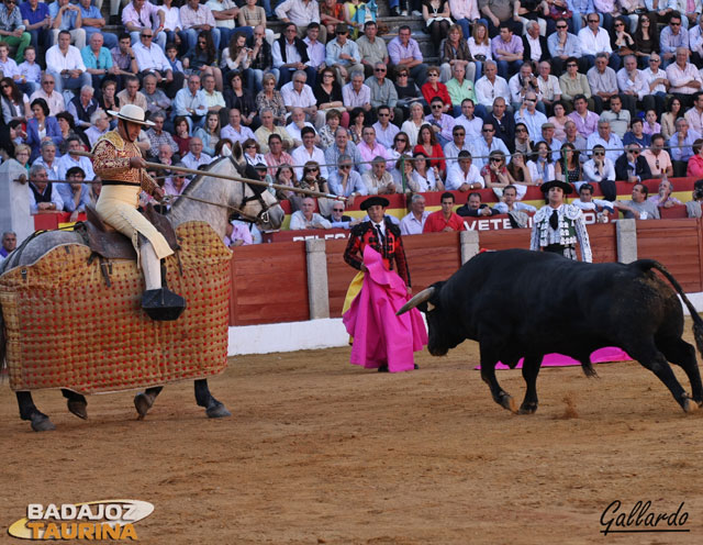 Aurelio Cruz, picador de Morante, esperando la acometida.