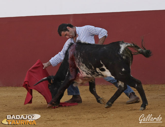 Antonio Muñoz sintiéndose torero en el inicio de faena.