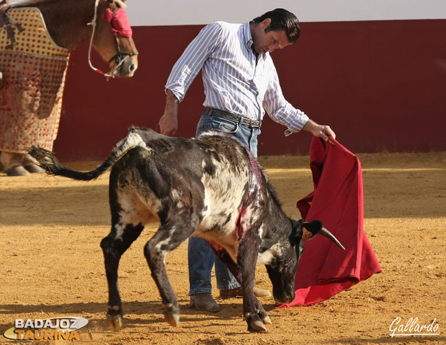 Y templó las chispeantes embestidas de las eralas.