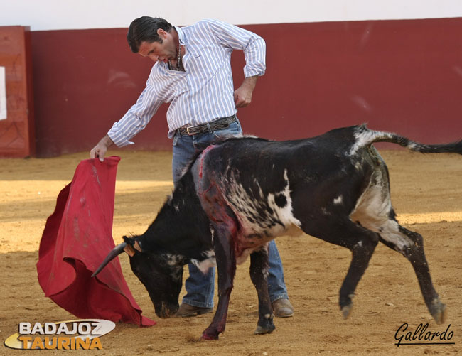 La tarde se fue caldeando conforme las vacas no dejaban de embestir.