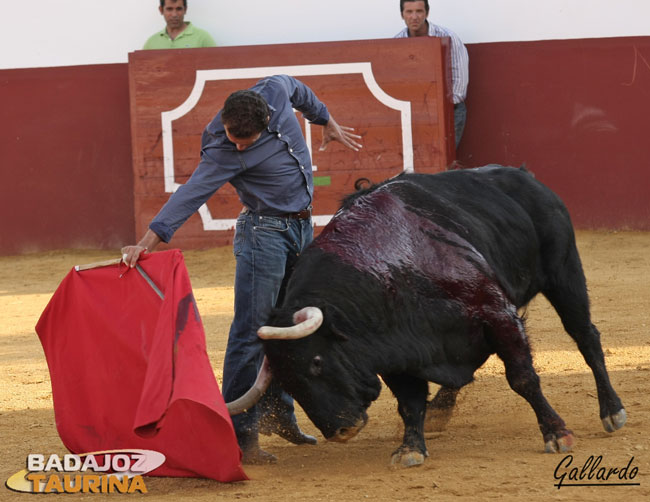 Buscó con ahínco los vuelos de la muleta de Ferrera.