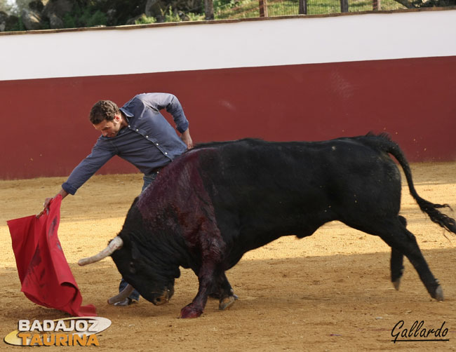 El impresionante ejemplar de la P y la Q metió la cara con fijeza.