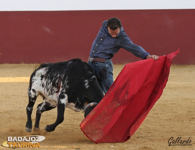 ...se aprecia en esas 'máquinas' de embestir que son...