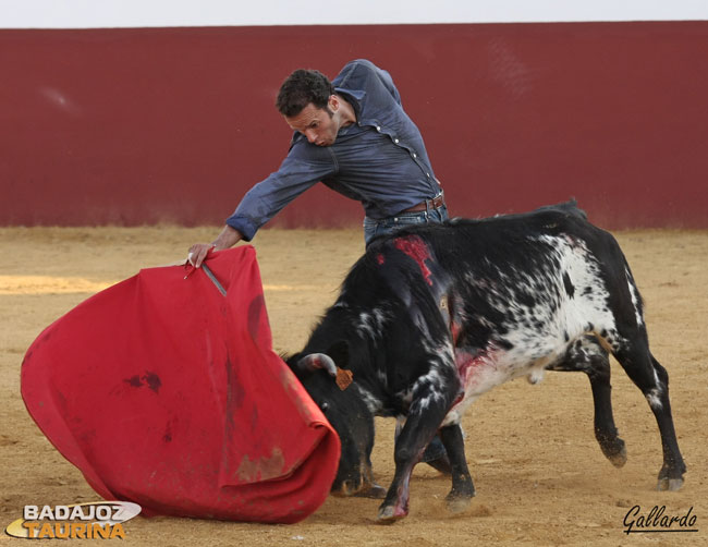 ...las vacas de sangre Guatelest como las que cría...